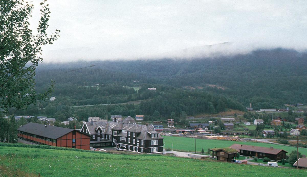 Dombåsbilde